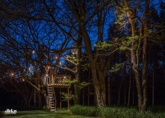 Tree House Lighting Ashland NE McKay Landscape Lighting
