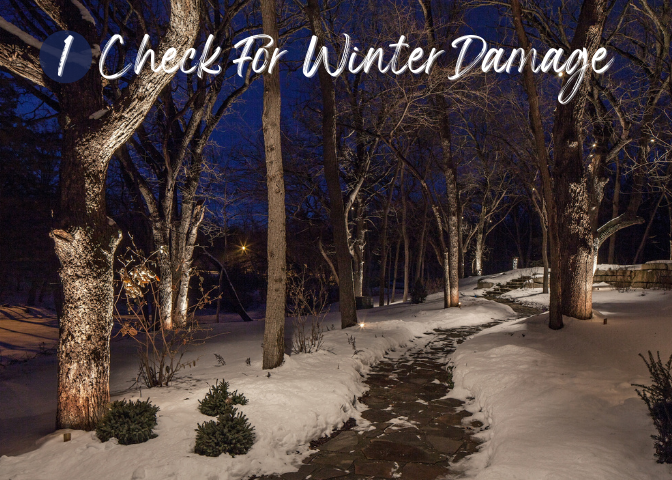 Check For Winter Damage