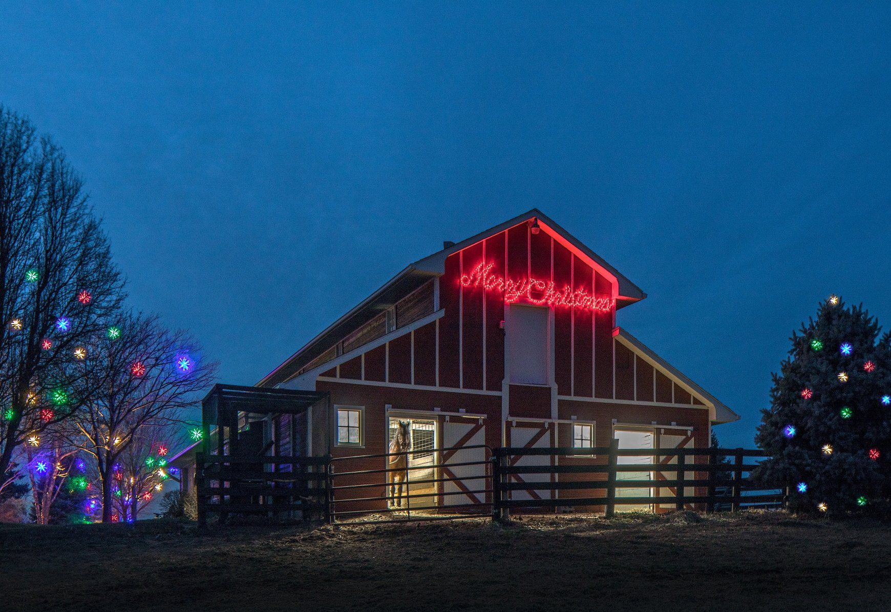 Holiday Christmas Lighting Omaha Nebraska McKay Landscape Lighting F 07-2
