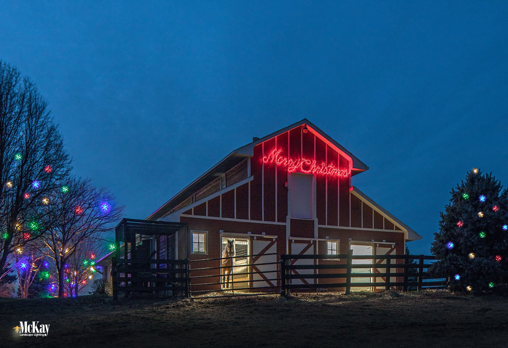 Holiday Christmas Lighting Omaha Nebraska McKay Landscape Lighting F 07-3