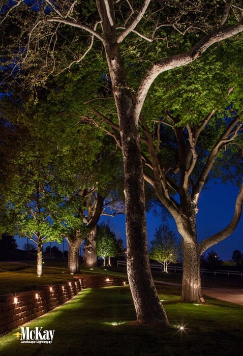 Tree Lighting Omaha Nebraska 