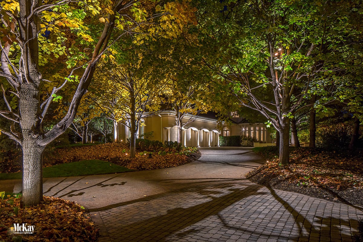 Downlighting a Driveway Omaha Nebraska - Learn more about the benefits on McKay Landscape Lighting's blog