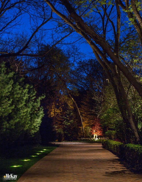 Driveway Lighting Idea - Here the well lights illuminate the evergreens and act as a guide while the downlights in the trees ensure an evenly lit driveway. Click to learn more... | McKay Landscape Lighting - Omaha, Nebraska 