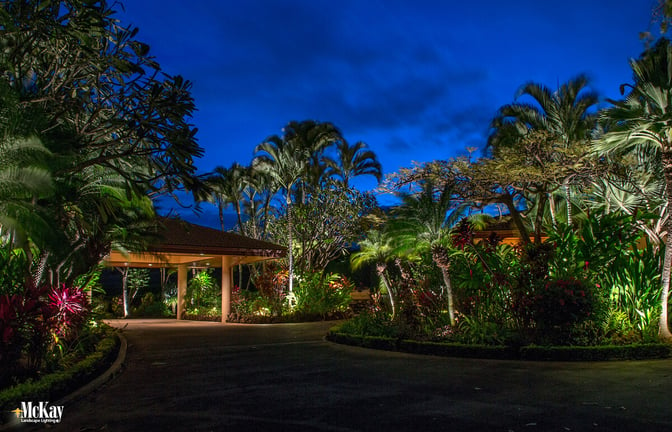 Project Spotlight - Maui Outdoor Lighting Design - McKay Landscape Lighting
