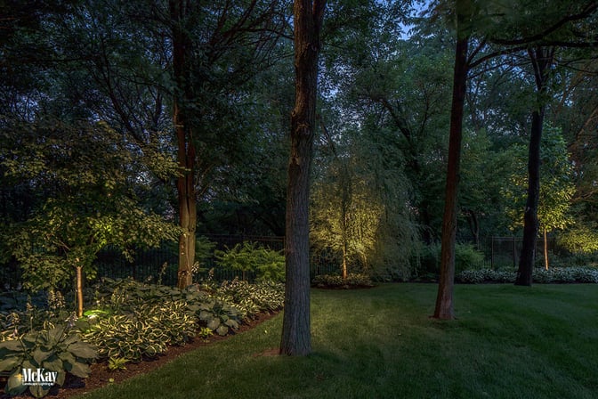 Landscape Lighting Design: Yard & Tree Lighting Elkhorn Nebraska | McKay Landscape Lighting