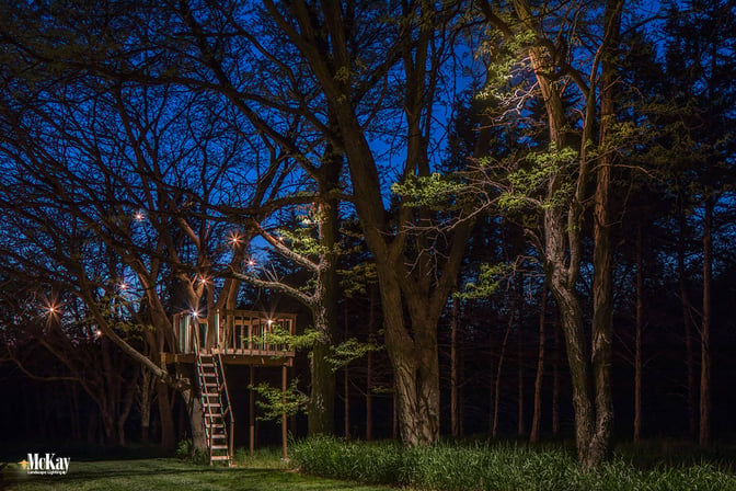Tree House Lighting Ashland Nebraska McKay Landscape Lighting DS 08