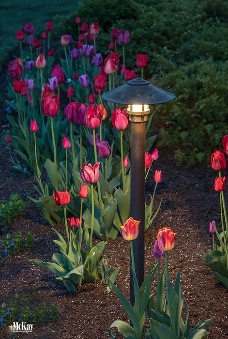 LED driveway bollard lights are the perfect solution to improve your visibility on dark a driveway. And come in a variety of finishes,  making it easy to find bollard driveway lights that match the style of your home. Click to learn more... | McKay Landscape Lighting, Omaha Nebraska